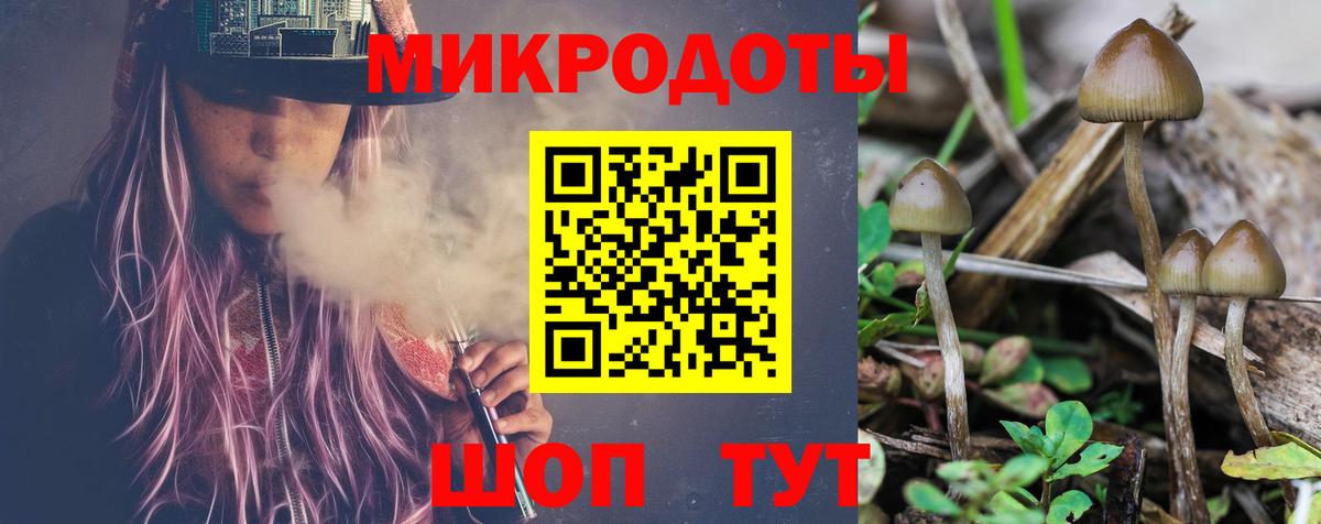 Фурманов  Псилоцибиновые грибы Psilocybe  Вход с VPN 